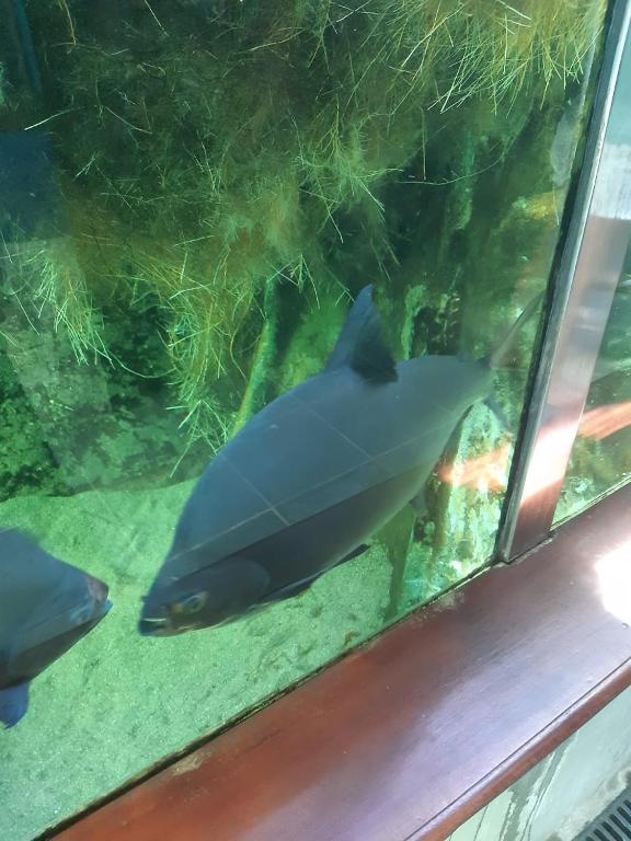  Casa temporada Finais de Semana e Feriados