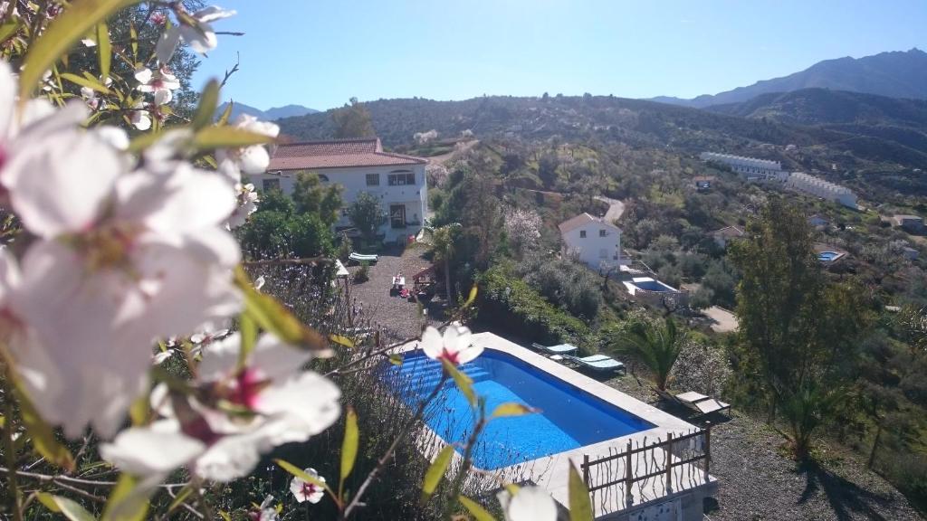 una villa con piscina su una collina con fiori di Nido Aguila Blanca a Guaro