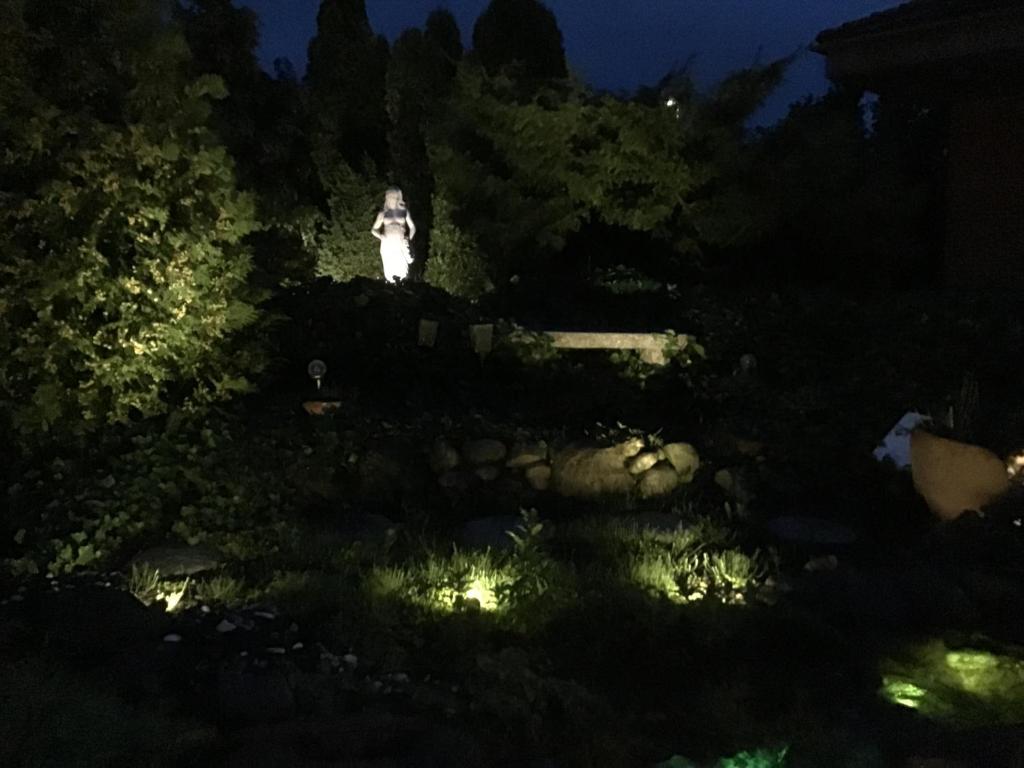 Zahrada ubytování Vettebar Guesthouse