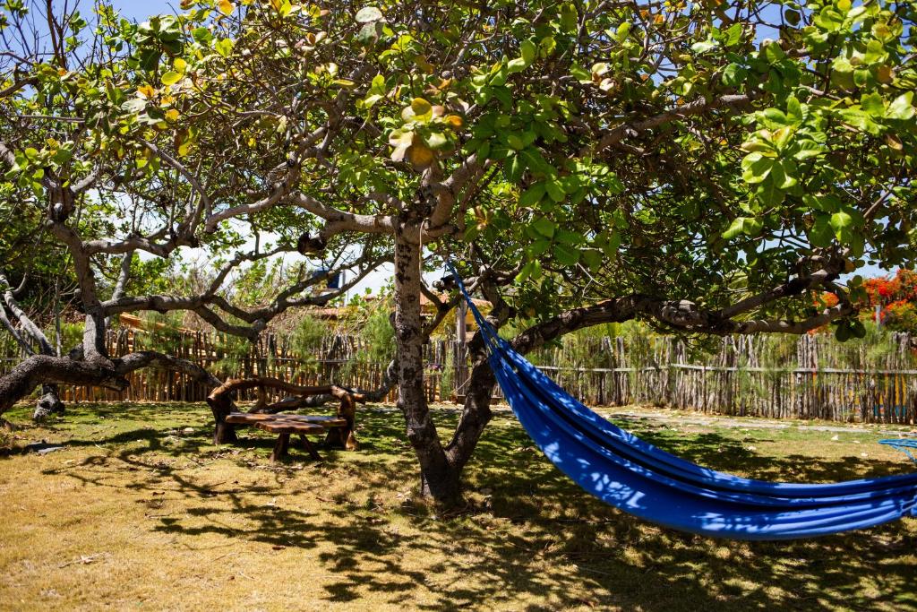  AliCori Accomodation - Beach House