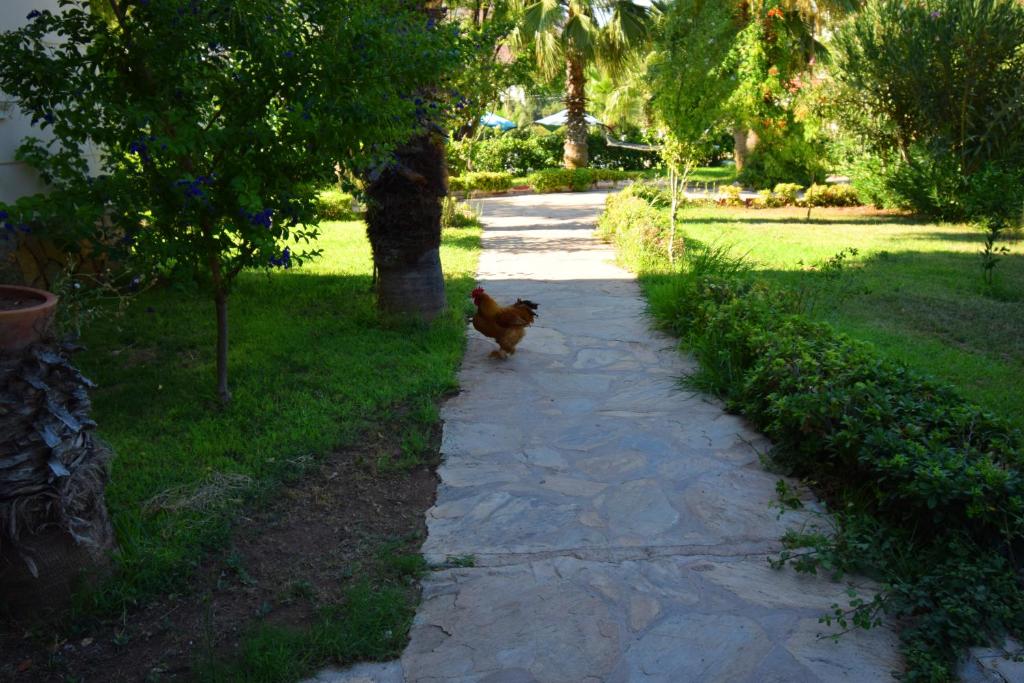 ADRASAN BEACH CLUB