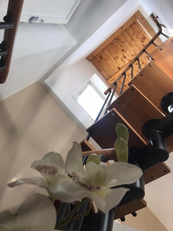 Tesori di Girgenti - 15