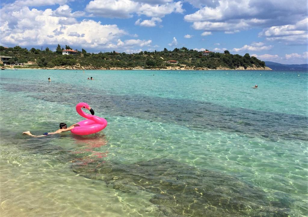 Fotografia z galérie ubytovania Nikiti Holidays v destinácii Nikiti
