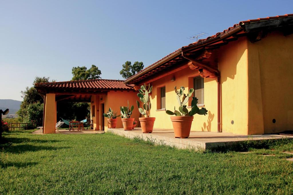 un grupo de cactus en una casa en Le Pettegole del Boschetto, en Castiglione della Pescaia