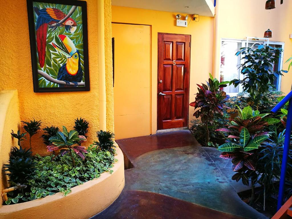 Zahrada ubytování Hotel Casa 69