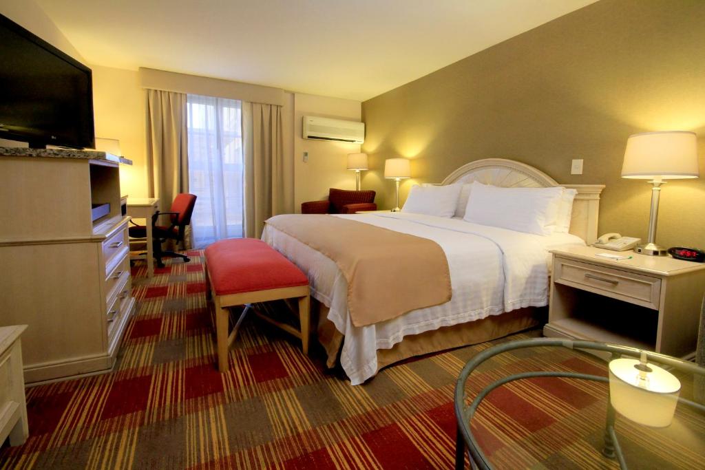 Postel nebo postele na pokoji v ubytování Holiday Inn Monclova by IHG
