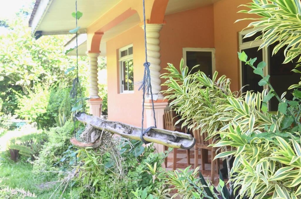 a house with a limb hanging off the side of it at Fare Om in Pihaena