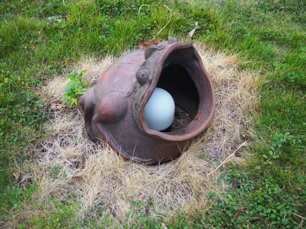 Fotografie z fotogalerie ubytování エコヴィレッジ西表 Eco Village Iriomote v destinaci Iriomote