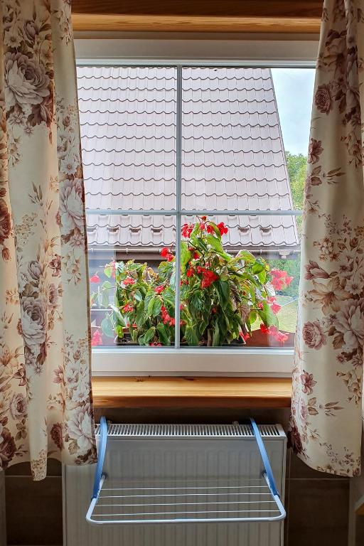 Fotografie z fotogalerie ubytování Agroturystyka u Jarka v destinaci Bryzgiel