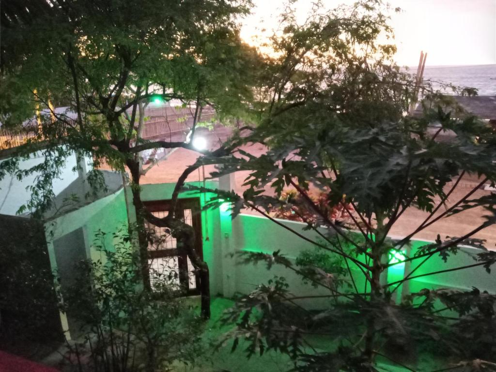 Zahrada ubytování Hospedaje Algarrobo Machalilla