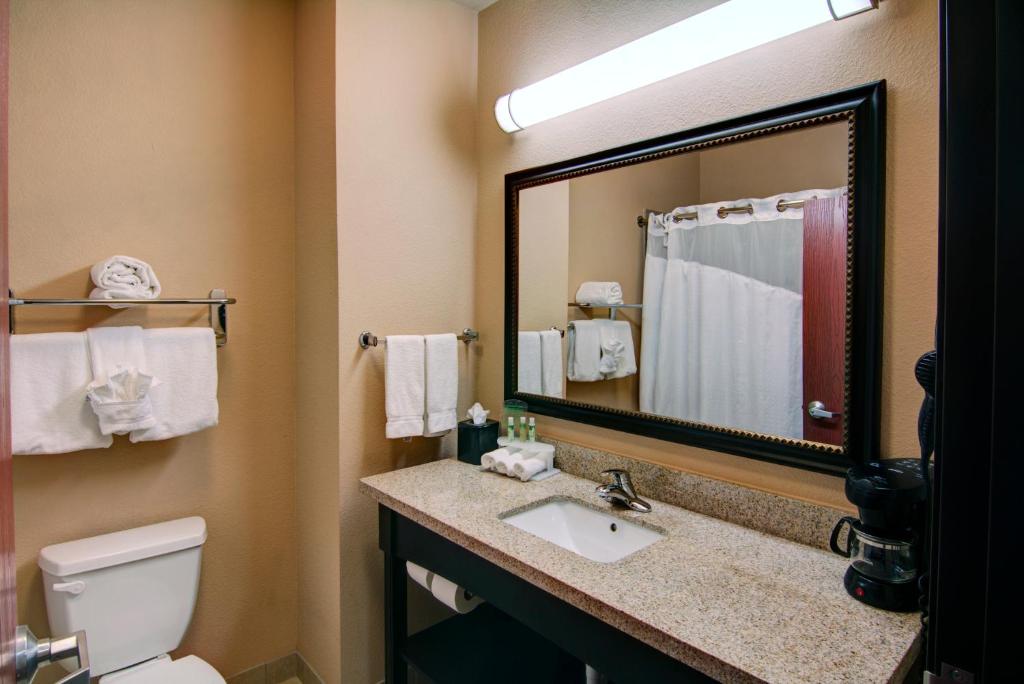 Holiday Inn Express Hotel & Suites Paris by IHG - Suite King Con Sofá Cama
