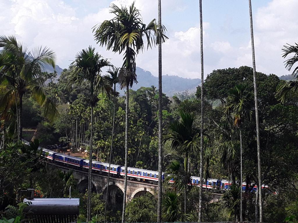 a train on a bridge in the jungle with palm trees at Nine Arch Araliya Homestay in Ella