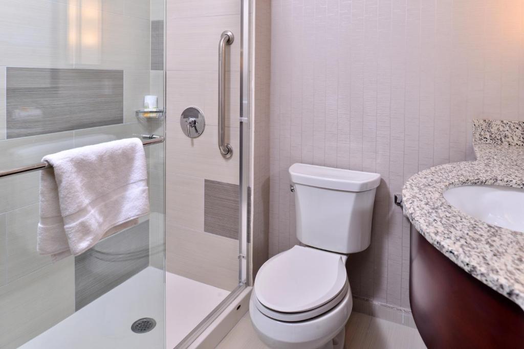 Holiday Inn New York City - Times Square, an IHG Hotel - Standard Double Room With Two Double Beds