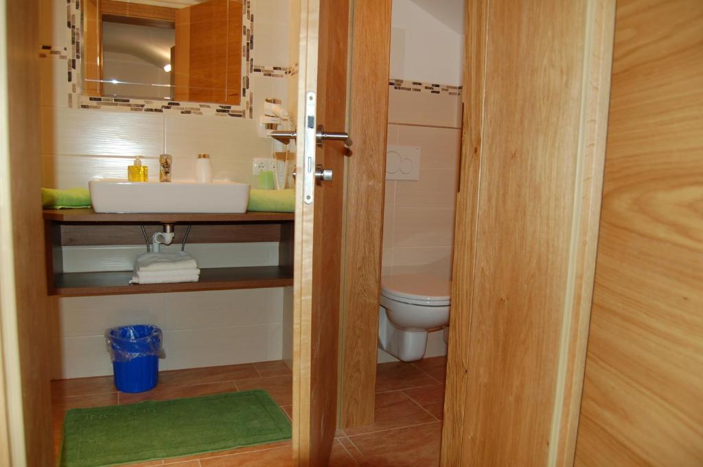 Appartement Pension Albert summercard and free parking included - 14