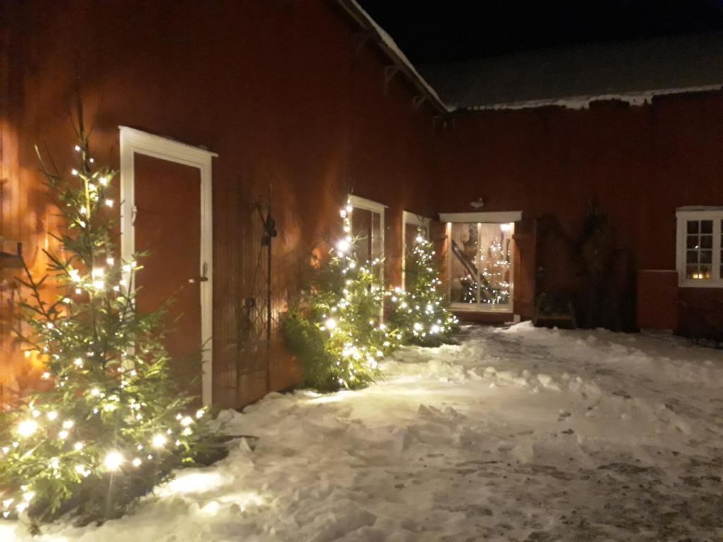 Strømnes - Oldefars gjestehus Inderøy v zimě