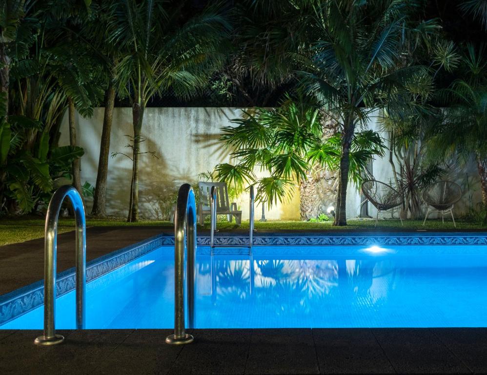 a swimming pool at night with palm trees at Casa das Clivias in Ponta Delgada