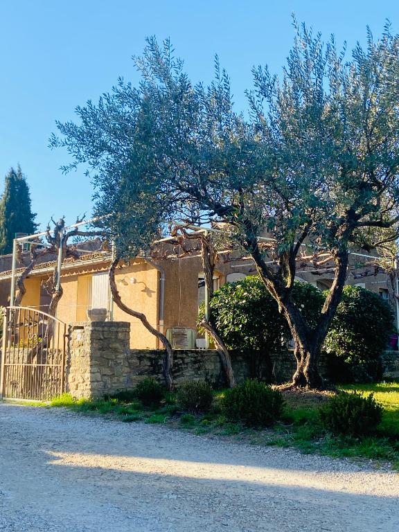une maison avec un arbre devant dans l'établissement Maison La Plaine, à Lourmarin