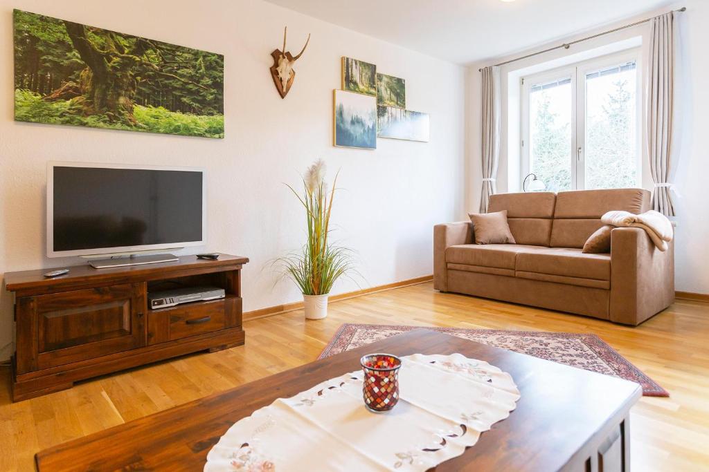 uma sala de estar com uma televisão e um sofá em Ferienwohnung an der Salamanderburg em Schierke