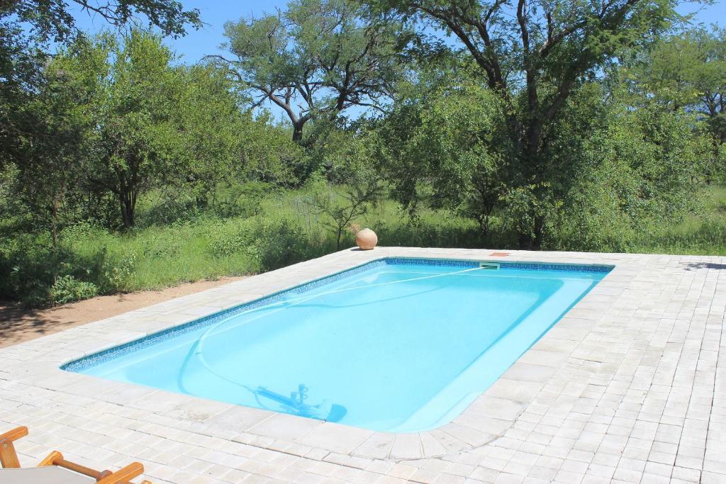 Bazén v ubytování Woodpecker Lodge B&B nebo v jeho okolí