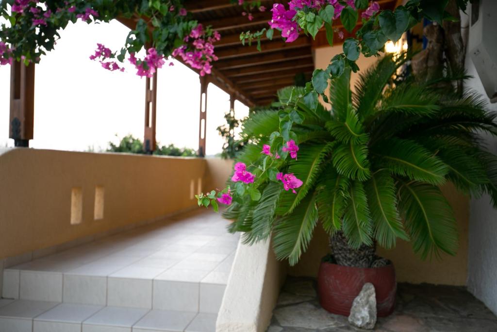 Paradise Apartments - Appartamento Deluxe