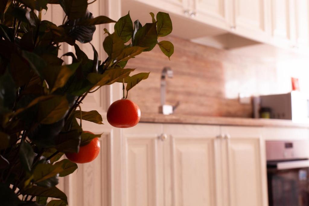 Violetta - Appartamento Con Balcone