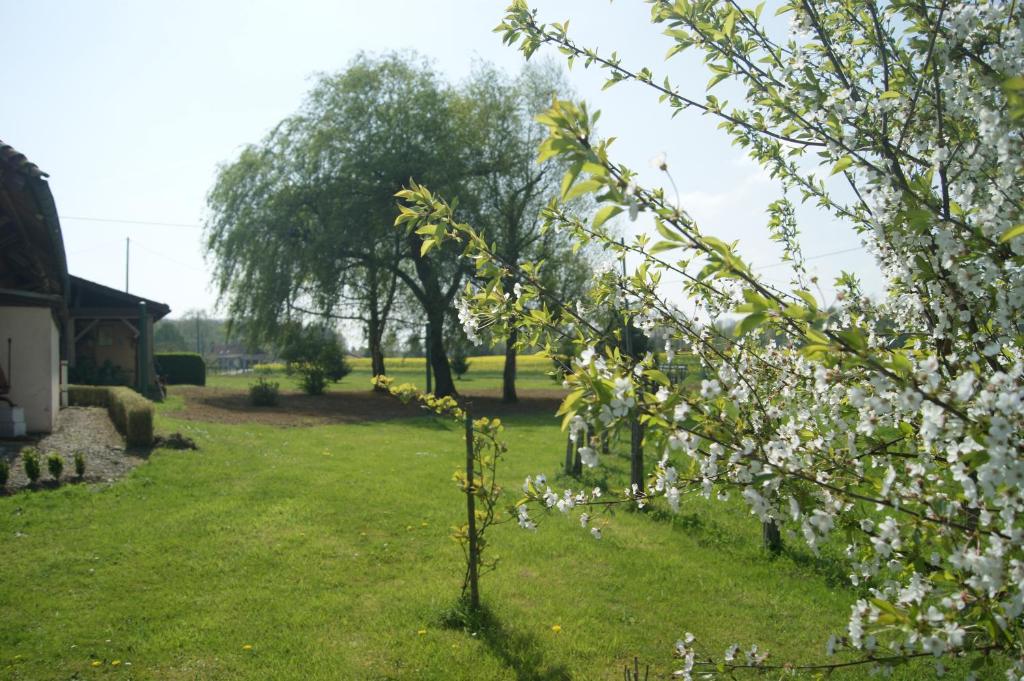 La mare aux grenouilles - Habitación Doble Con Vista Al Jardín