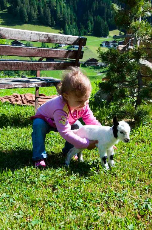 Domácí mazlíčci ubytovaní s hosty v ubytování Mooserhof