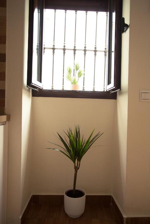 Zdjęcie z galerii obiektu Apartamento EntreCaminos w mieście Setenil