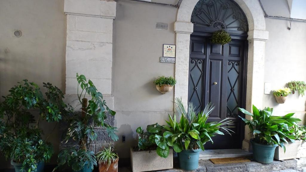 a garden with plants and flowers in front of a door at Crociferi B&B in Catania