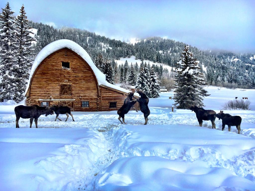 Trail Creek Ranch v zimě