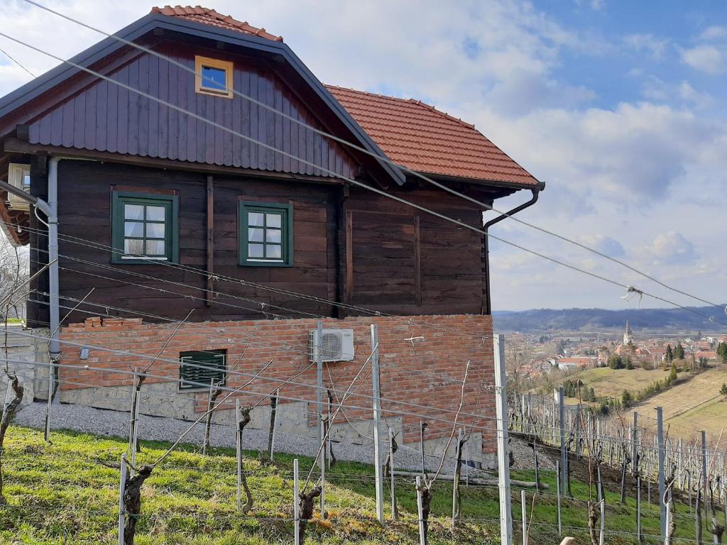 a wooden house on top of a hill at Kuća za odmor Cesarica in Marija Bistrica