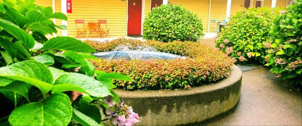 Zahrada ubytování GuestHouse Inn Enumclaw