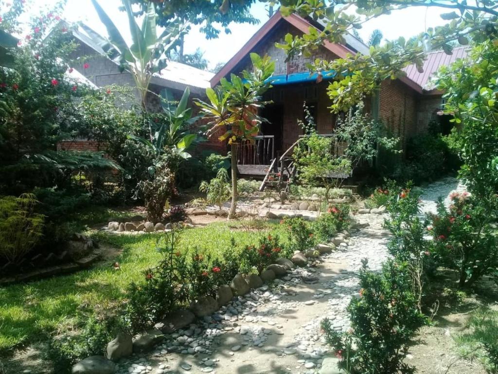 Mountain View Cottages & Restaurant Tangkahan