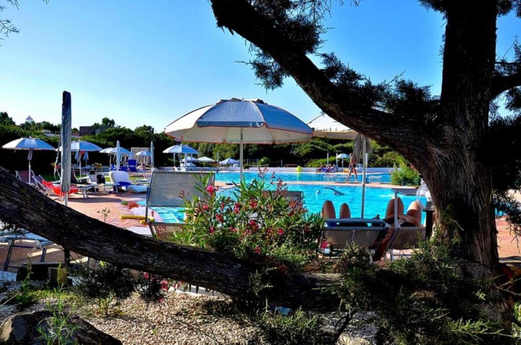 a swimming pool with chairs and an umbrella at Il Rifugio sul Mare in Stintino