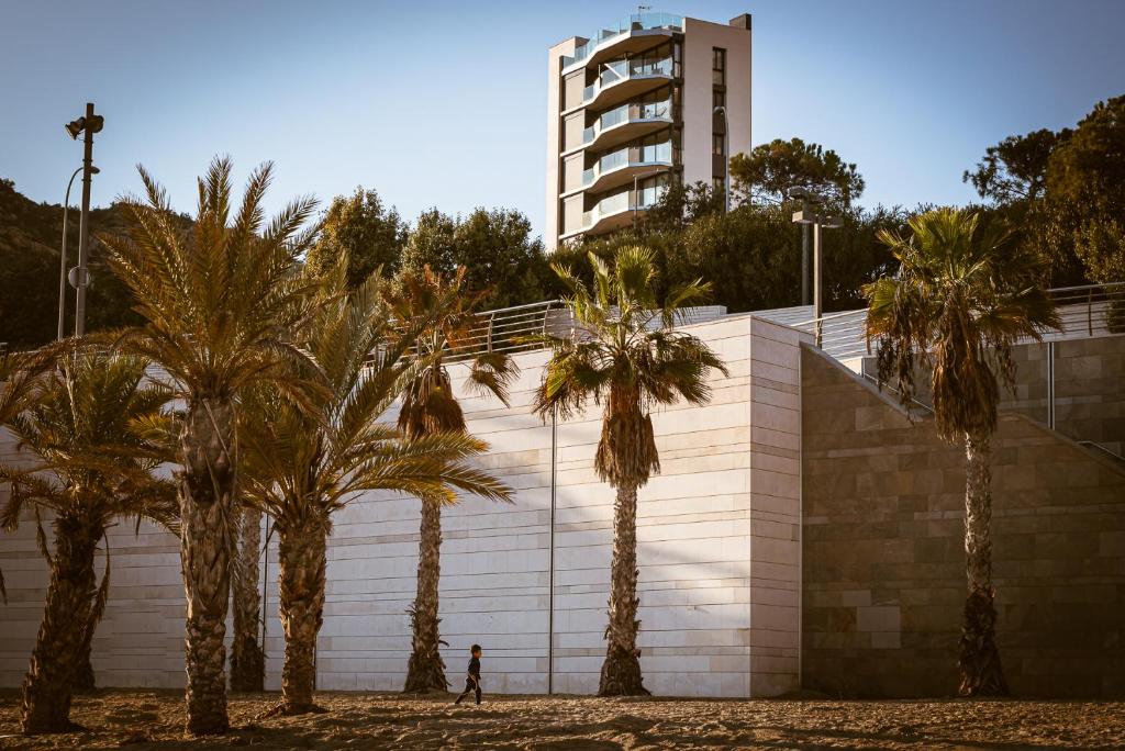 Modern sea front Reef, Alicante – Updated 2023 Prices