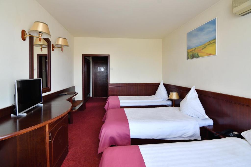 TV a/nebo společenská místnost v ubytování Hotel Delta 3