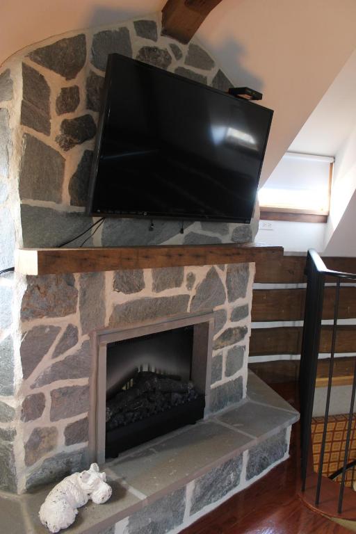 Twin Pine Manor - Suite With Terrace
