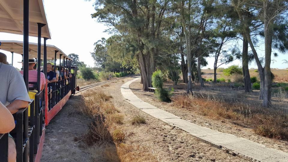 Bild i bildgalleri på Pedras D'el Rei - Charmosa Vivenda T3 i Tavira