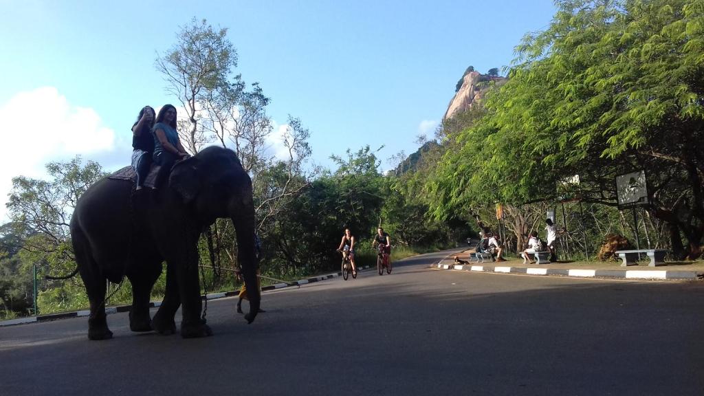 Sigiri Shen Residence - 16