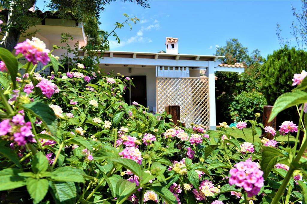 コスタ・レイにあるNuova Valmar Trilo Mimosaのピンクの花の庭園