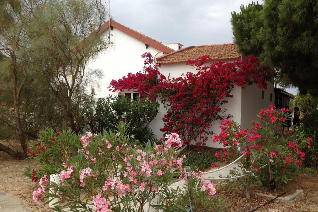 Uma casa branca com flores vermelhas à frente. em Beach House - Tavira Island em Tavira