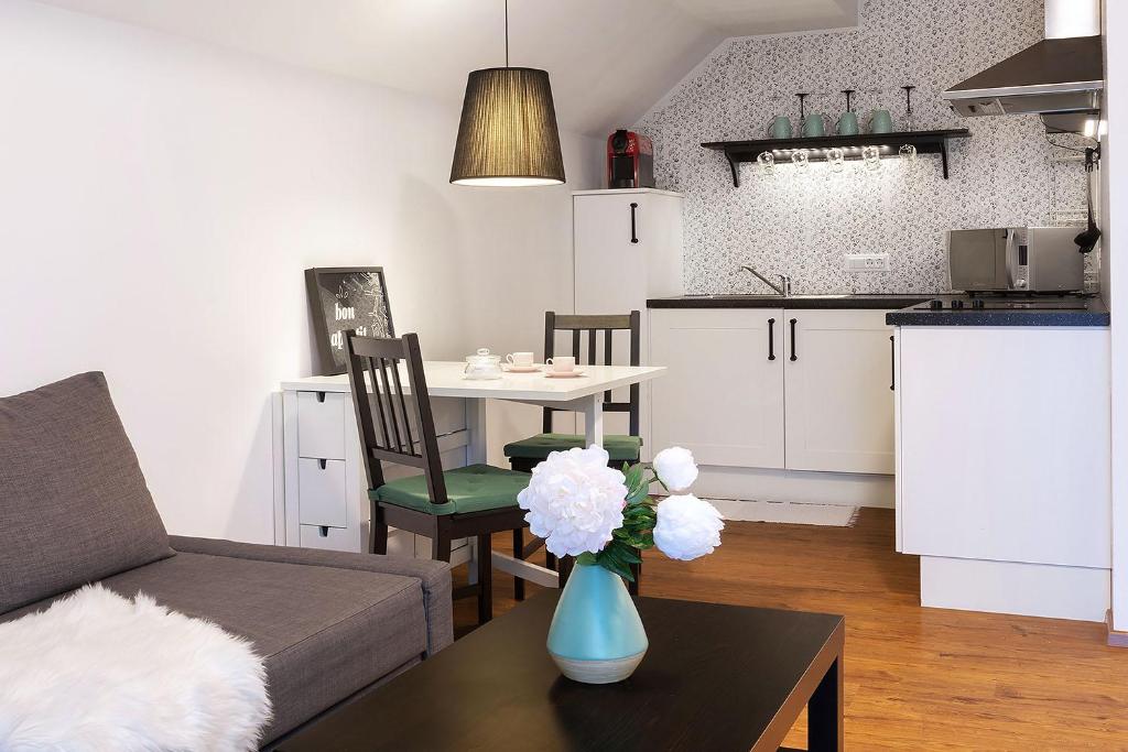 Kuchyň nebo kuchyňský kout v ubytování Apartment Vila Pavlovski