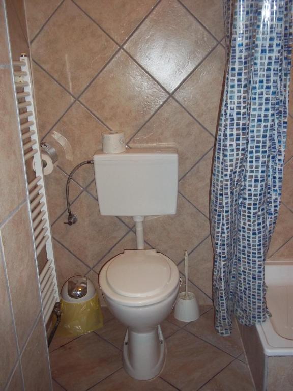 Koupelna v ubytování Rooms Žigić