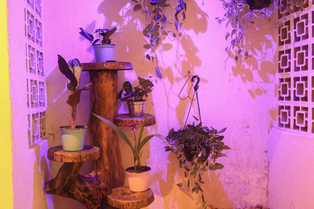  Dona Benedita Hostel