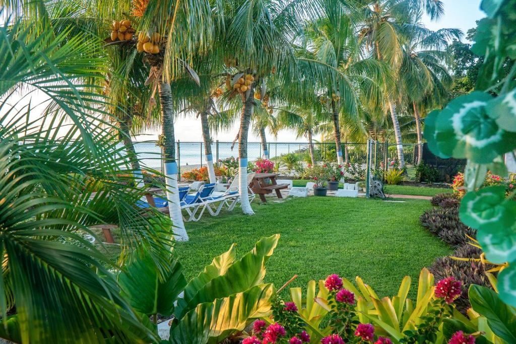 a garden with palm trees and chairs and the ocean at Banyan Beach House Villa in Bridgetown