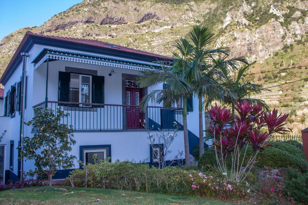 a white house with a palm tree in front of a mountain at Casa do Tio in São Vicente