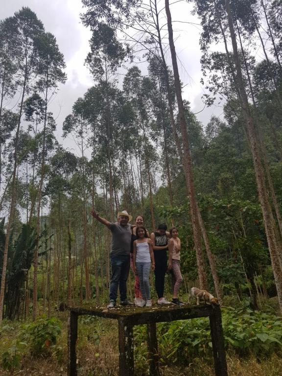 Arkdia Glamping Zone