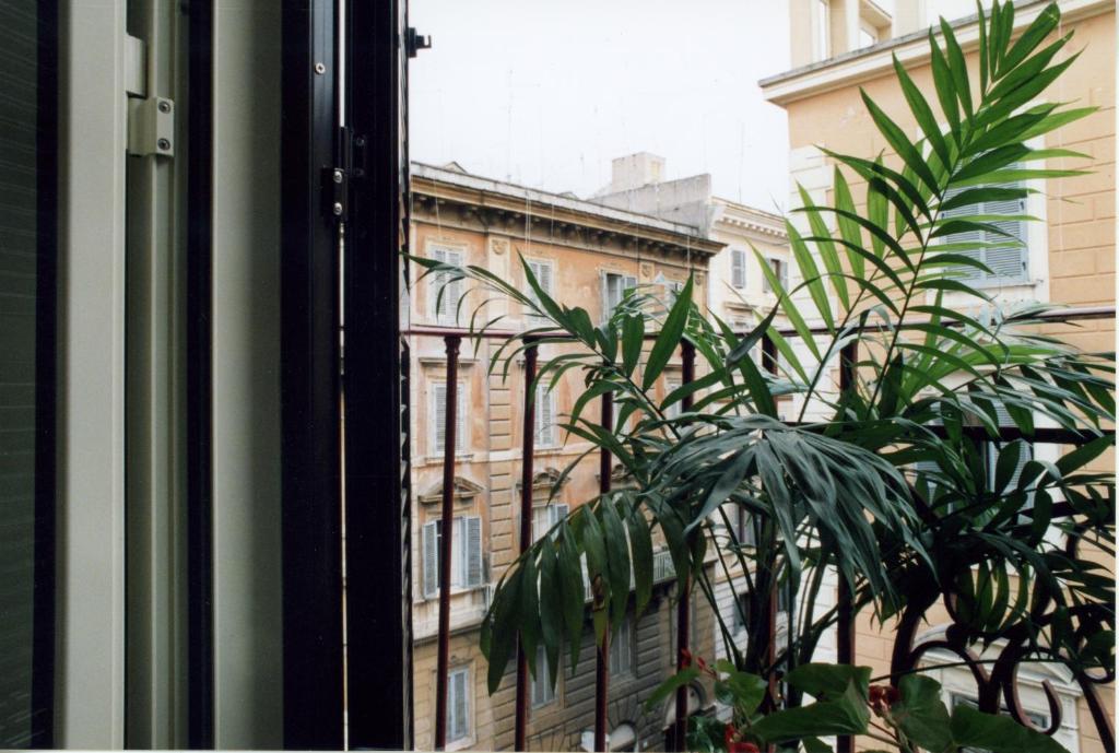 una planta frente a una ventana con un edificio en Hotel Magic, en Roma
