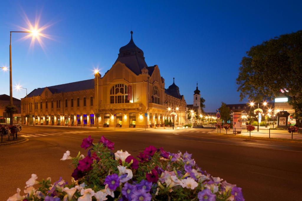 Hotel Queen Elizabeth Superior 2100 Gödöllő, Dózsa György út 2 kép - 1