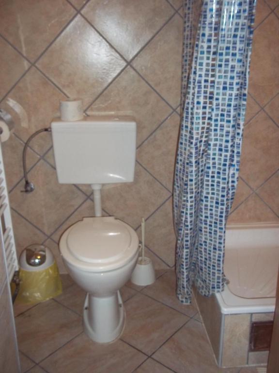 Koupelna v ubytování Rooms Žigić